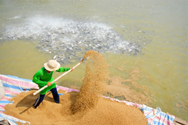 Chứng nhận ISO trong lĩnh vực sản xuất thức ăn thủy sản 