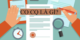 CO CQ là gì? Phân biệt và áp dụng chứng nhận như thế nào?