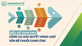 Biểu đồ nhân quả (CED) là gì? 6 bước xây dựng biểu đồ này