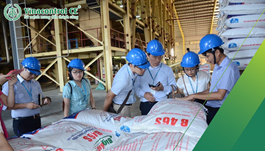 Giấy chứng nhận đủ điều kiện sản xuất thức ăn chăn nuôi