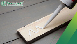 Chứng nhận hợp quy keo dán gỗ | Thủ tục công bố 