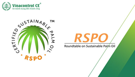 Chứng nhận RSPO là gì? Hội nghị bàn tròn về Dầu cọ Bền vững
