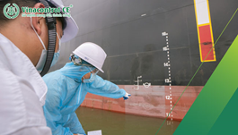 Giám định hàng hải | Hướng dẫn 4 bước đăng kí 