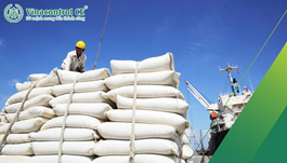 Giám định nông sản, thực phẩm và lâm sản | Uy tín