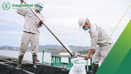 Thử nghiệm than - khoáng sản | Uy tín