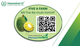 Truy xuất nguồn gốc thực phẩm là gì? Giải pháp truy xuất