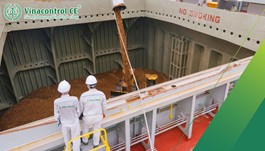 Giám định dăm gỗ Vinacontrol | Chứng thư uy tín