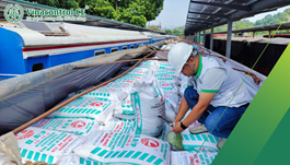 Thủ tục nhập khẩu thức ăn thủy sản | Quy định mới nhất 