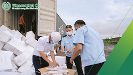 Thủ tục nhập khẩu giấy ăn, giấy vệ sinh | Hướng dẫn Chi tiết