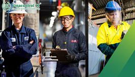 Thủ tục nhập khẩu mũ bảo hộ lao động | Hướng dẫn chi tiết