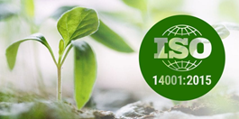 [TÀI LIỆU] Tiêu chuẩn ISO 14001:2015 PDF  bản Tiếng Việt