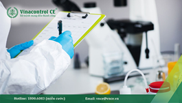 Đánh giá nội bộ ISO 22000 | Hướng dẫn cách thức triển khai hiệu quả