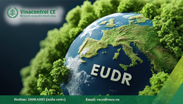 Tổng quan về EUDR | Quy định của EU về các sản phẩm không gây phá rừng