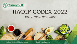 HACCP CODEX 2022 là gì? | Ví dụ về cây quyết định và bảng tính CCP