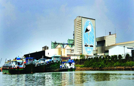 Vinacontrol CE chứng nhận hợp quy thức ăn chăn nuôi Cám Con Cò Việt Nam 