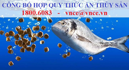 Thủ tục công bố hợp quy thức ăn thủy sản | Từ A-Z