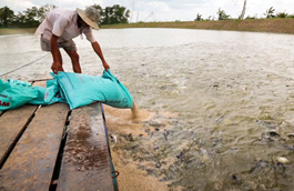 Chứng nhận hợp quy thức ăn thủy sản nhập khẩu cho Công ty Tân Hóa