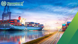 Cấp chứng nhận ISO cho doanh nghiệp Logistic | 4 tiêu chuẩn doanh nghiệp cần có