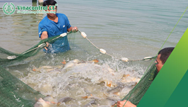 Chứng nhận VietGAP thủy sản | Khẳng định chất lượng – Uy tín