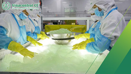 Những loại giấy phép cần có đối với cơ sở sản xuất thạch | Tư vấn thủ tục 