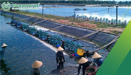Kiểm tra chất lượng chế phẩm xử lý môi trường thủy sản 