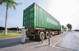 Kiểm tra hàng  nhập khẩu