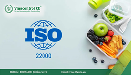 Quy trình chứng nhận ISO 22000 | Hướng dẫn chi tiết từ A–Z cho doanh nghiệp