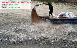 Quy trình chứng nhận hợp quy thức ăn thủy sản