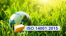 Doanh nghiệp nào bắt buộc phải áp dụng ISO 14001? Tìm hiểu ngay 