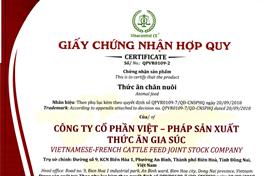 Chứng nhận hợp chuẩn - hợp quy | 5 nội dung chi tiết