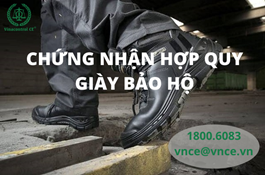 Chứng nhận hợp quy giày bảo hộ lao động | Chi phí ra sao