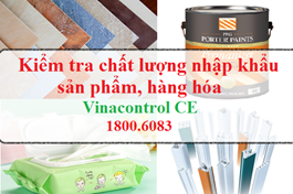 Trình tự & Thủ tục kiểm tra chất lượng hàng nhập khẩu