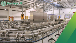 An toàn trong đóng gói thực phẩm | Các tiêu chuẩn & quy định