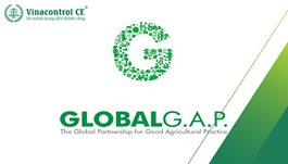 Chứng nhận GLOBAL GAP | Tiêu chuẩn về thực hành nông nghiệp