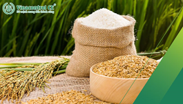 Những giấy phép cần thiết cho cơ sở sản xuất gạo? 8 loại giấy phép cần có