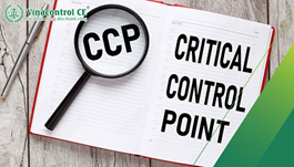 CCP là gì? Cách xác định điểm kiểm soát giới hạn CCP