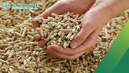 Chứng nhận viên nén gỗ xuất khẩu | Tư vấn thủ tục chi tiết