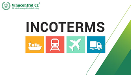 Incoterms là gì? Giải thích 11 điều khoản Incoterms chi tiết nhất