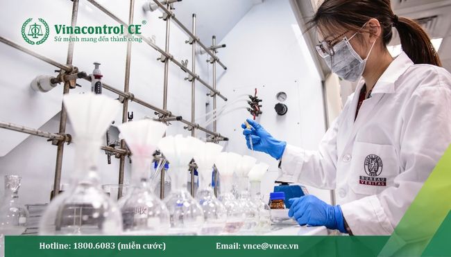 Tổ chức Bureau Veritas Việt Nam