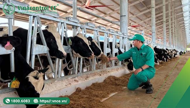 Thời gian cách ly thường từ 3 đến 15 ngày, tùy loại thuốc và vật nuôi