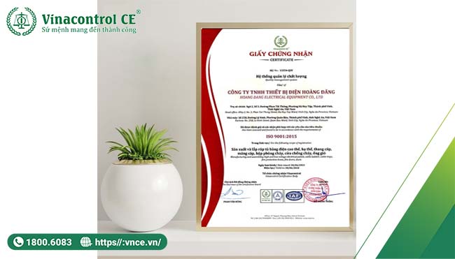 Chứng nhận ISO 9001:2015 mang lại lợi ích to lớn cho doanh nghiệp