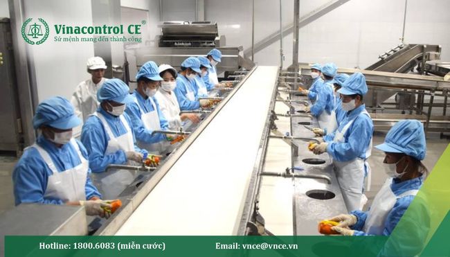 Bộ tài liệu HACCP PDF giúp doanh nghiệp tiếp cận kiến thức có hệ thống, thuận tiện tra cứu và có cơ sở chuẩn bị cho quá trình xây dựng, áp dụng HACCP