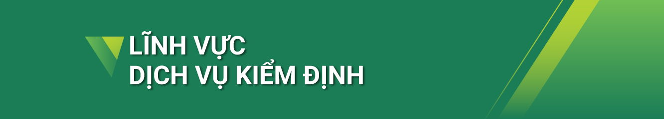 Lĩnh vực dịch vụ kiểm định