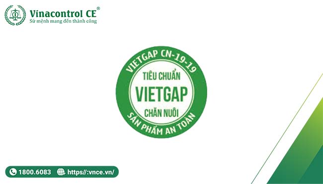 Hướng dẫn sử dụng logo VietGAP đúng cách