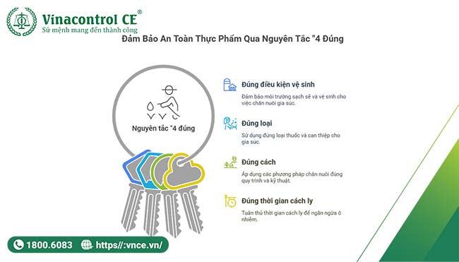 Nguyên tắc “4 Đúng” trong chăn nuôi VietGAP