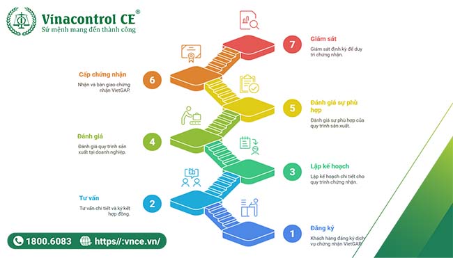 Quy trình chứng nhận VietGAP tại Vinacontrol CE