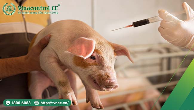 Thuốc, vắc xin và kháng sinh phải được sử dụng đúng kỹ thuật: