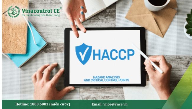 Trọn bộ tài liệu HACCP | Tổng hợp biểu mẫu chi tiết