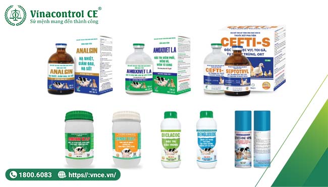 Các chủ trang trại lưu ý sử dụng đúng loại thuốc cho vật nuôi 