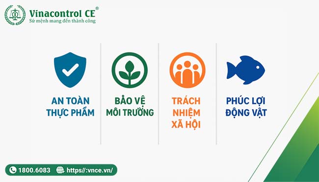 4 trụ cột của chứng nhận BAP